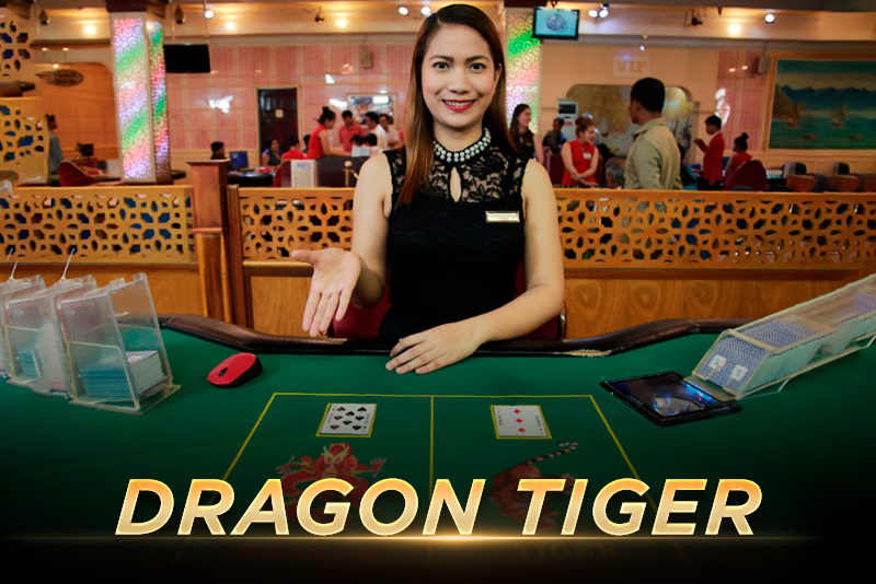 Dragon Tiger